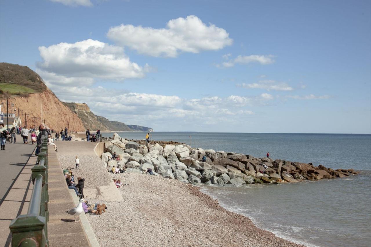 Cobblers Cottage Sidmouth Exteriör bild